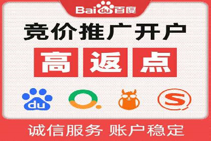解析某某SEM服务公司的广告投放策略与效果评估