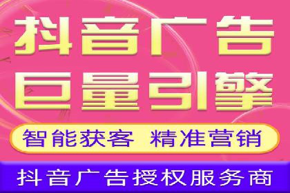 SEM推广实战：案例解析与策略探讨
